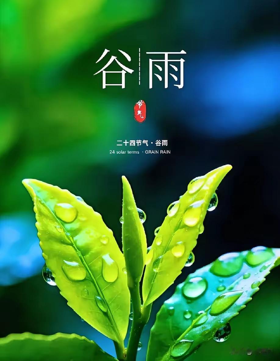 谷雨时节，雨露滋润万物生长。开始春的生机，一切都在重启。就好像勤劳的人们每天都在