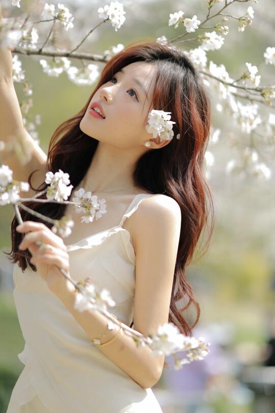空气是樱花味的🌸
