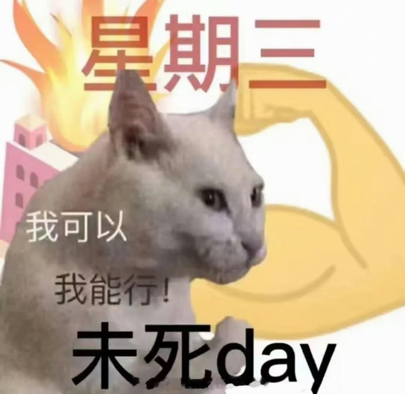 不想上班  ，熬一熬到周三了再熬一熬就周五了 