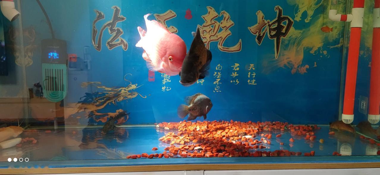 实习律师第160天
         实习律师要敢于站出来维护当事人。
    