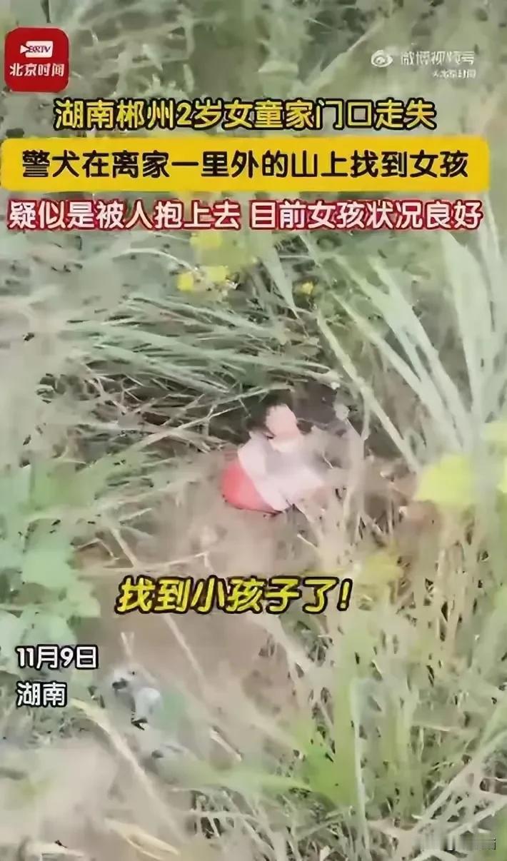 感恩警犬神速出动，女童安全归来！
11月9日，湖南郴州 一名仅有2岁的小女孩在家