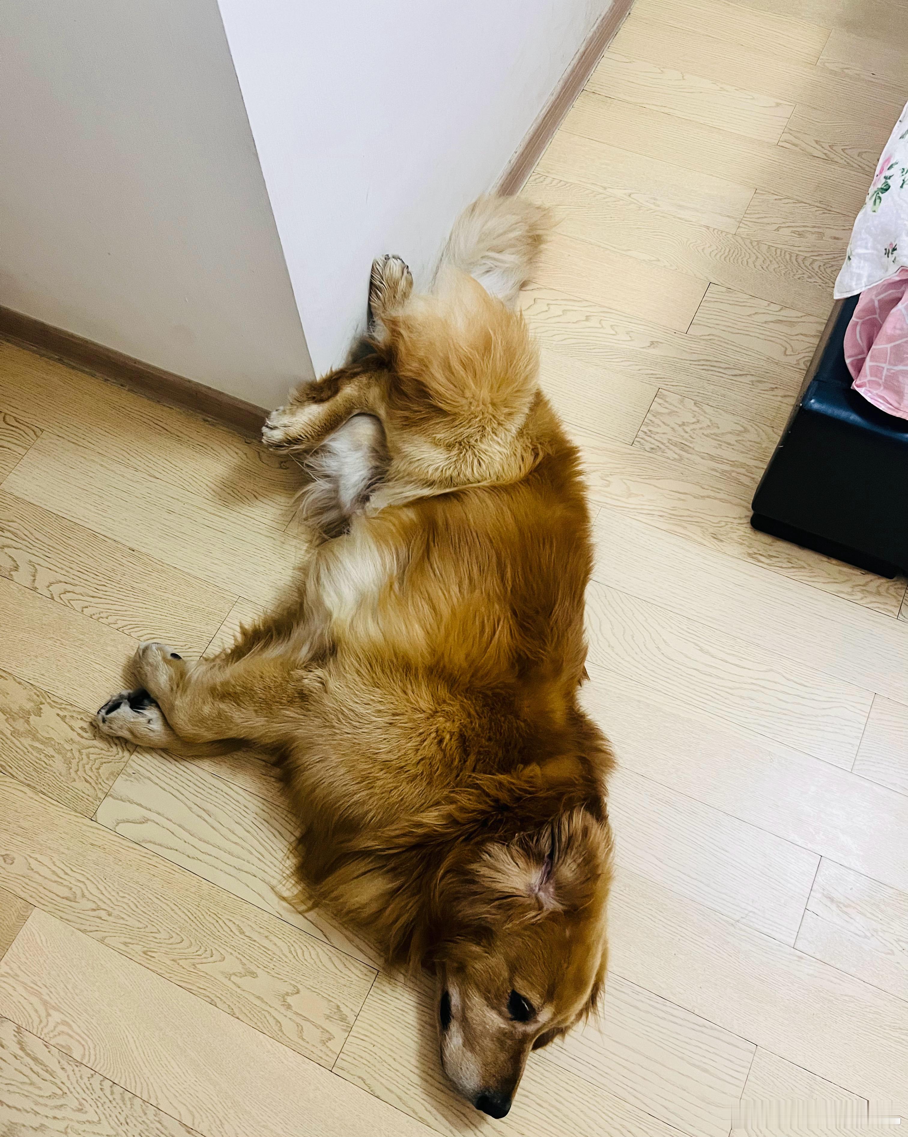在成都睡了个早午觉，拉了个粑粑，然后我们就来到了资中。吃了一顿兔火锅，去了会儿k