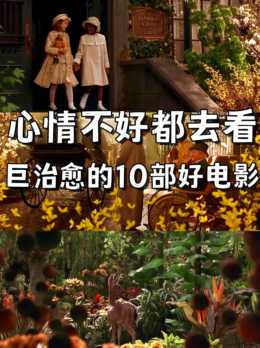 适合心情不好观看的解压治愈电影 