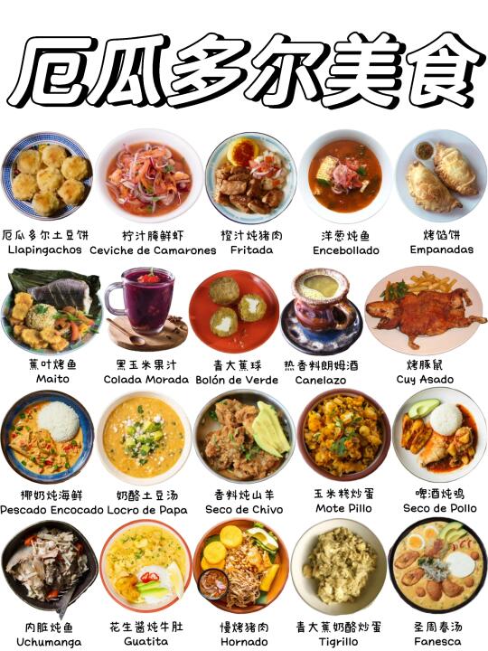 最经典的厄瓜多尔美食有哪些❓