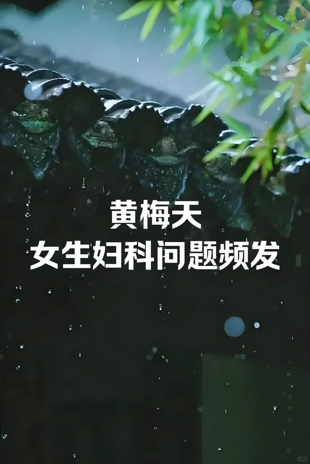 梅雨季，女人的难言之隐