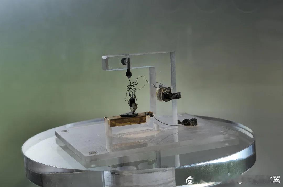 1947年贝尔实验室发明了首个晶体管，三位发明人物理学家威廉·肖克利（Willi