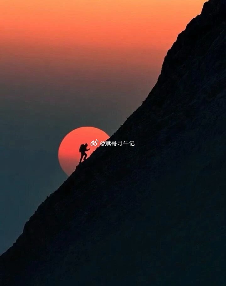 别慌，记住核心：5日线上不看空！今日收阴线，但始终守住5日线支撑。明天大概率低开