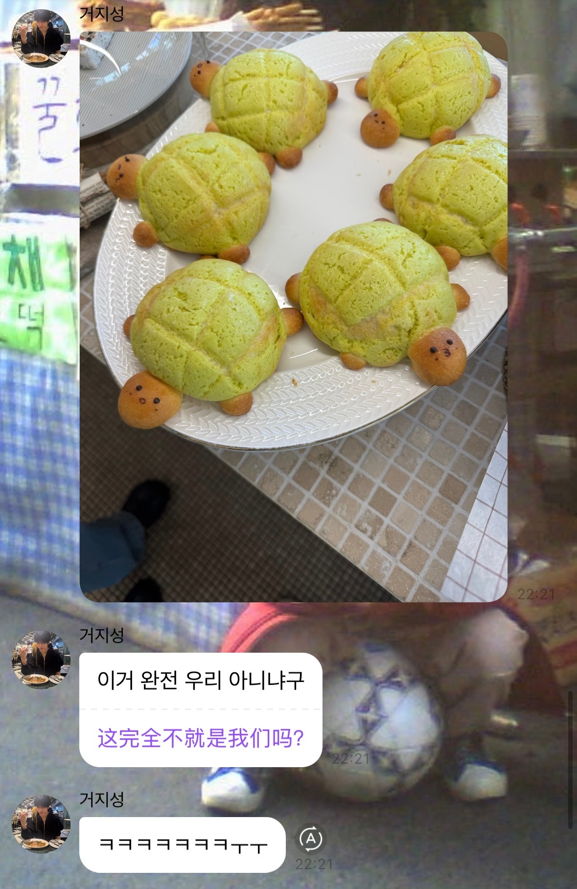 好萌呀又把自己当小乌龟了 