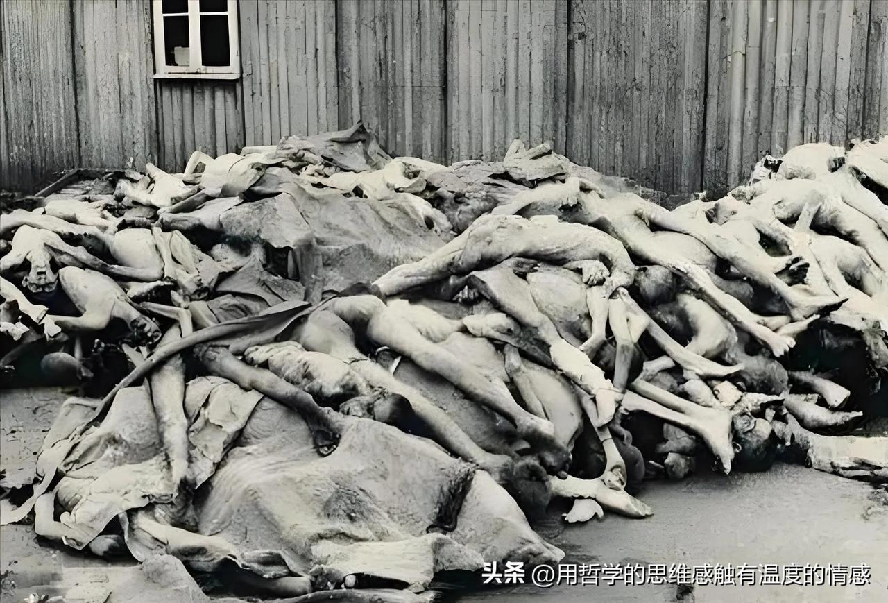 因此我们对日本这个国家和民族，不能抱有任何的丝毫幻想！幻想他们幡然醒悟？幻想他们