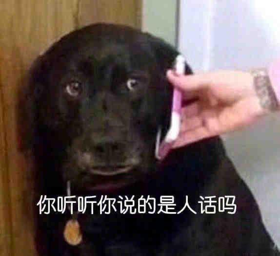 一说起鹅肝就想起某些人经典论述：洋人不吃内脏，不吃下水，不吃狗，不吃淡水鱼，不吃
