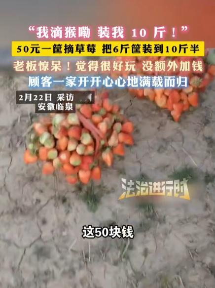 “应得的！”安徽临泉，一女子带着孩子们去摘草莓，老板说50元一篮子，万万没想到，