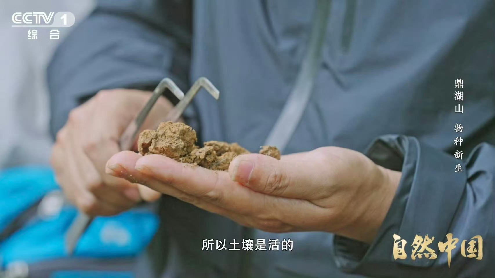 土壤的土腥味从何而来 雨后清新的土腥味到底从哪来？其实这股味道藏着地下生态的小秘