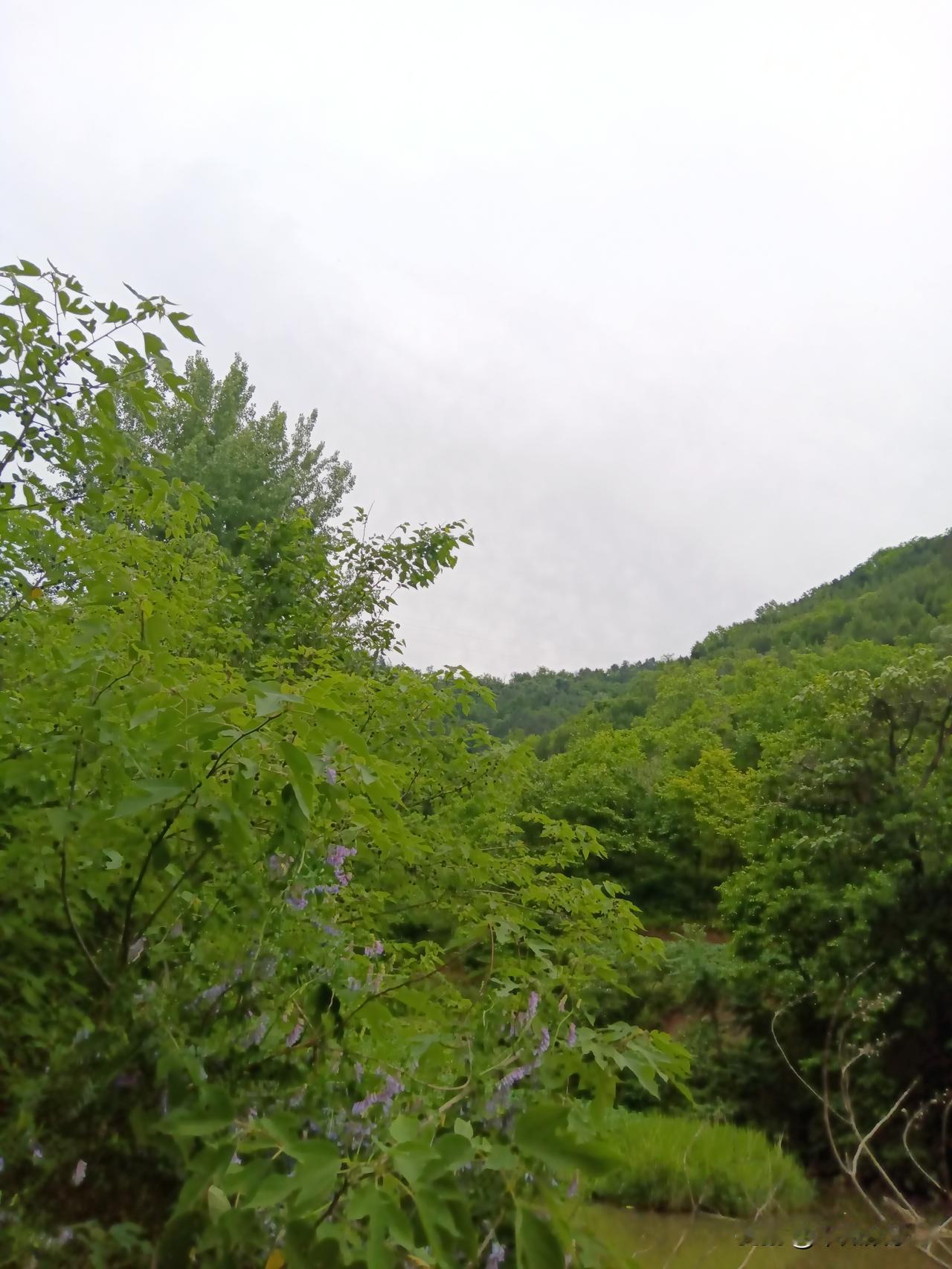 即将崩溃！

周周跌，天天跌。好不容易前两天红了一丢丢。今天再次大跌，亏损加大！