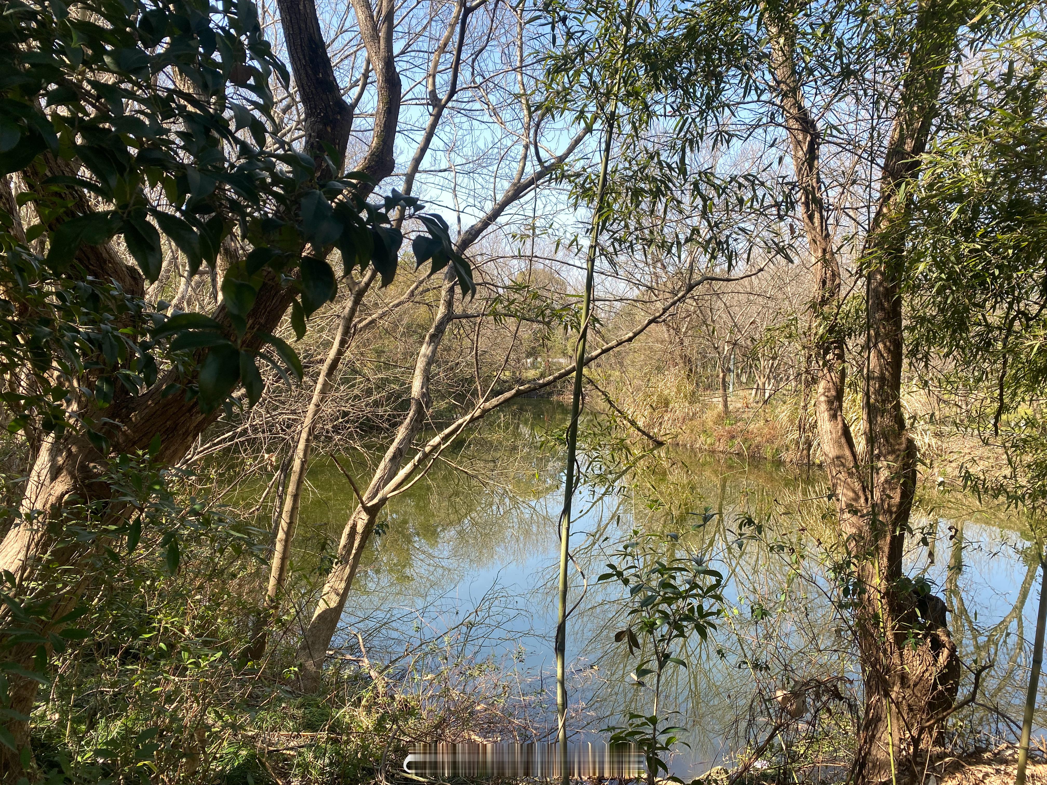 05年西溪湿地刚开园，门票80，一直保持到现在，当时的80元还是很值钱的（毛估估