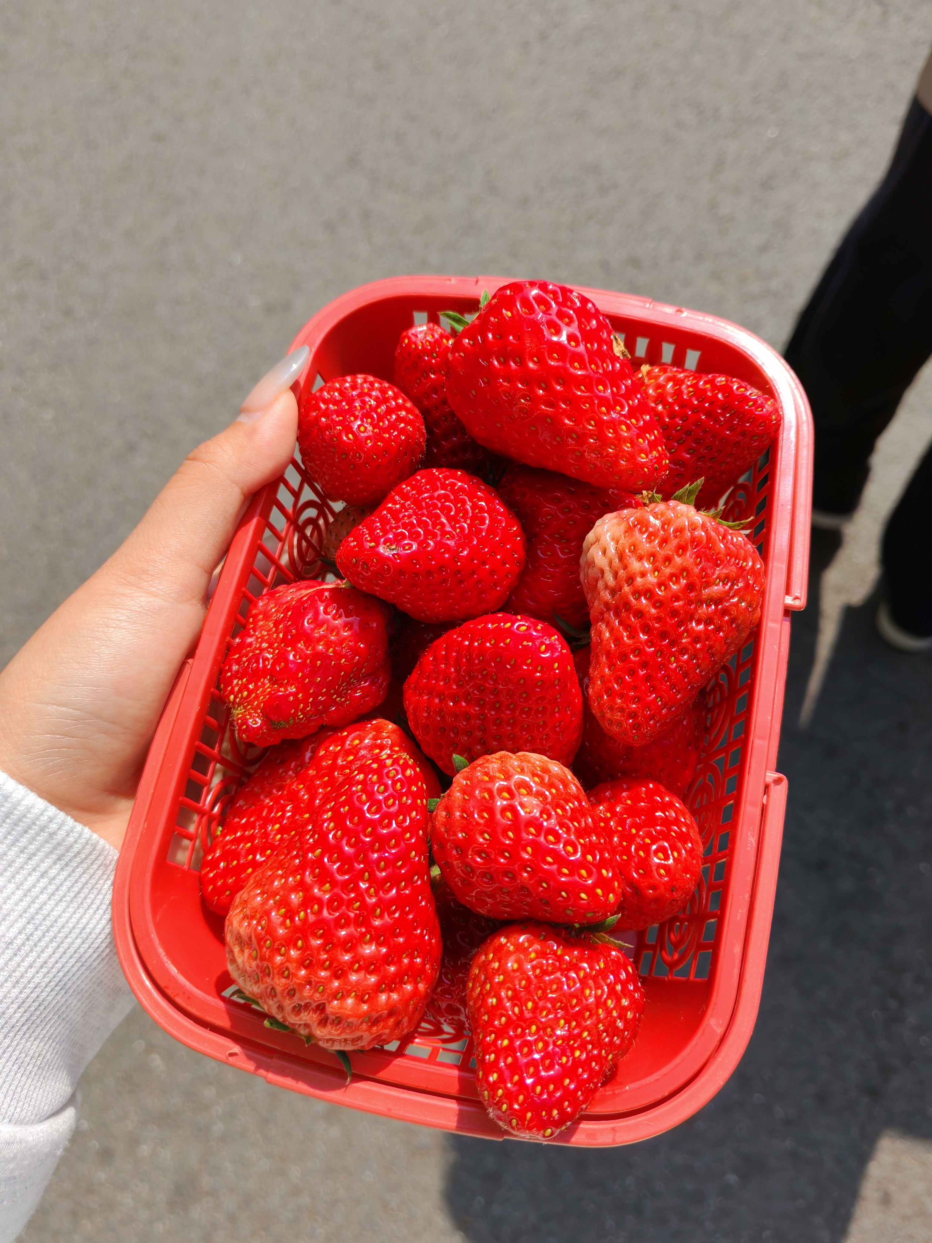 🍓🍓 