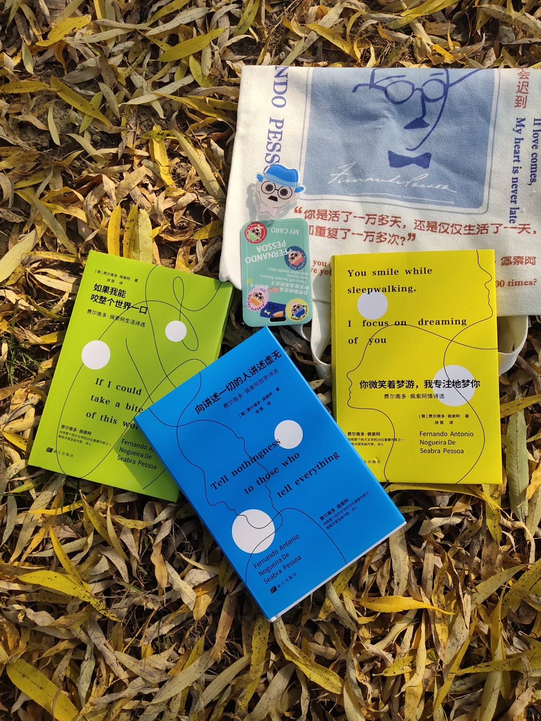 这三本诗集简直美到逆天呀！