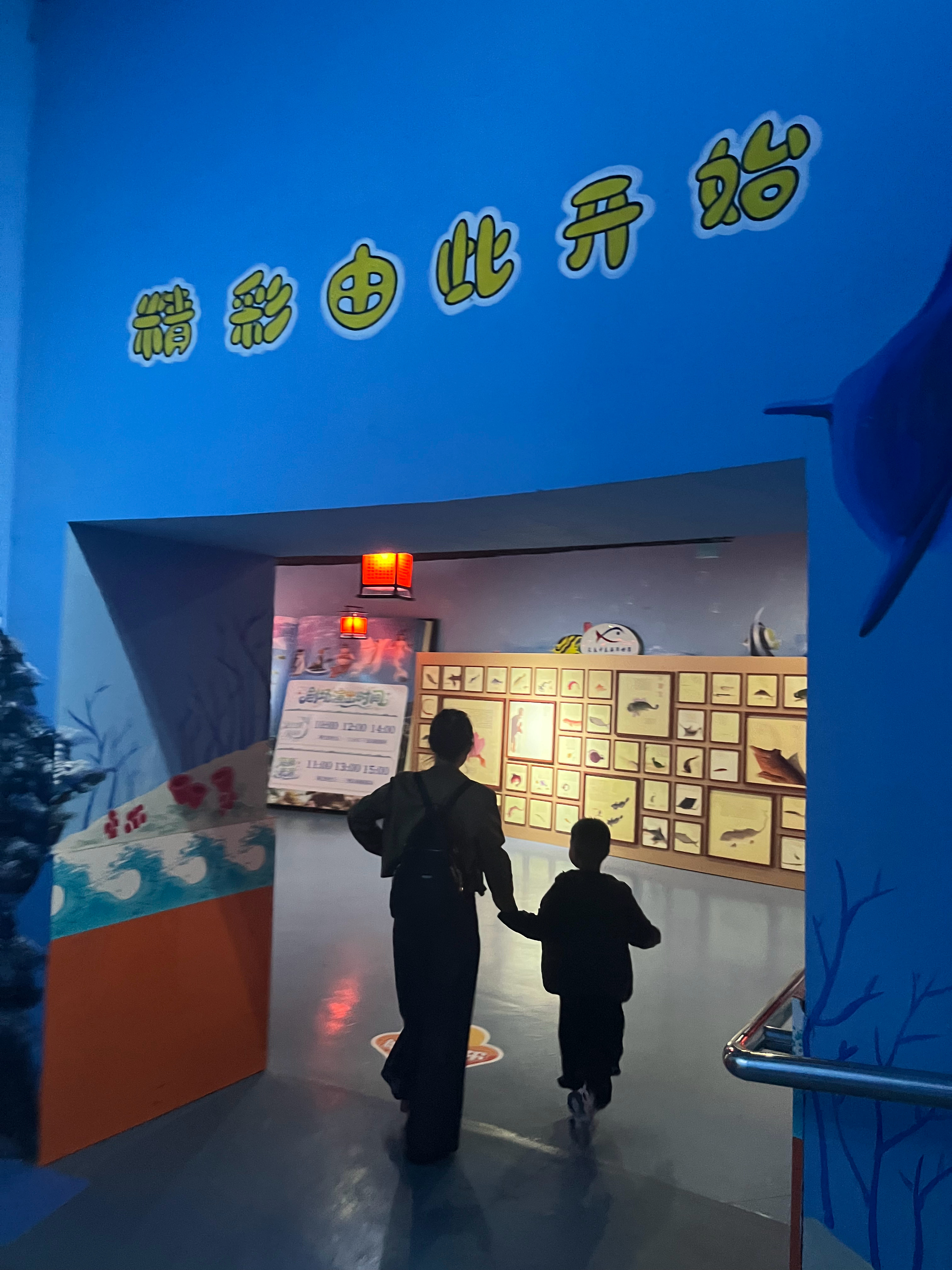 再次来到海洋馆，我记得上次来的那天正好赶上张九南结婚，我这顿捅咕手机啊。 ​​​