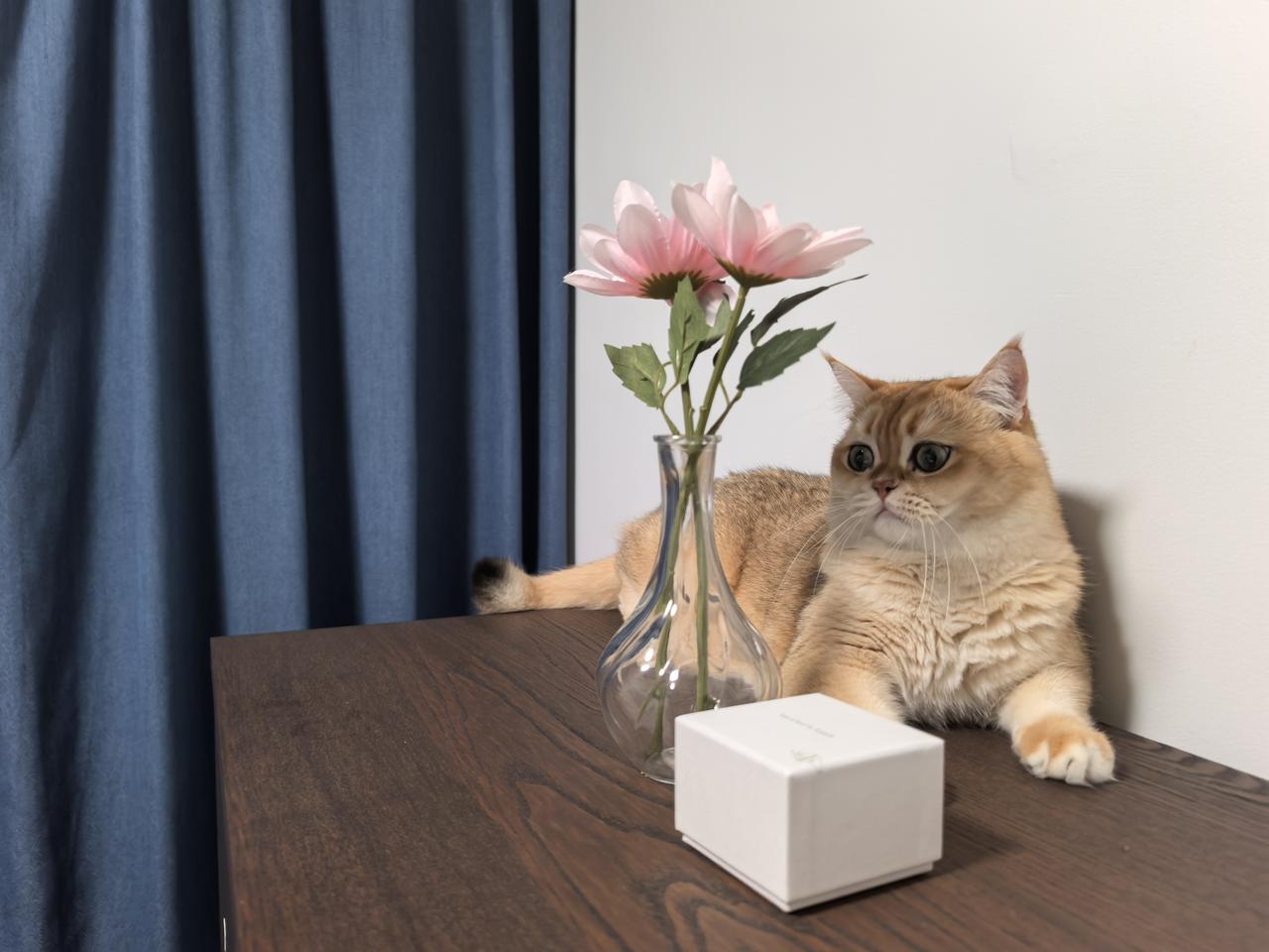 宠猫宠狗，胜过爱亲人。
       对这个事，我们村一位老大娘的看法，我觉得是