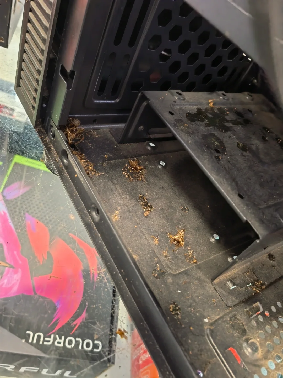 你的电脑适合养小强吗？