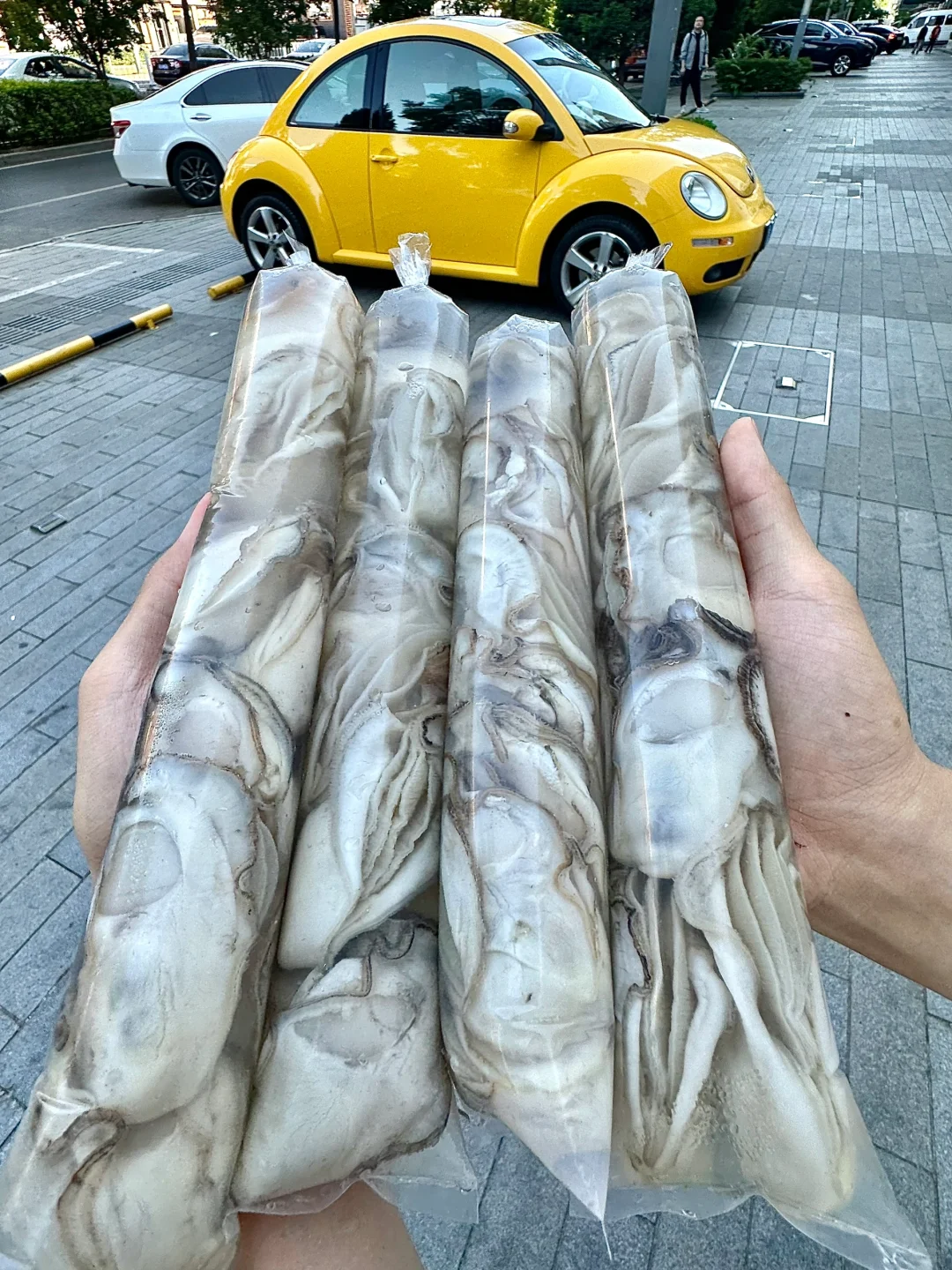 北京！！金台路！！快去快去！