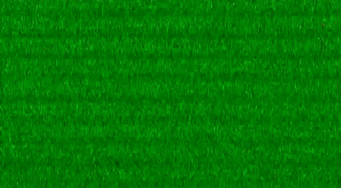 绿屏？足球场？都不是！是米切尔撞倒了摄影师😳