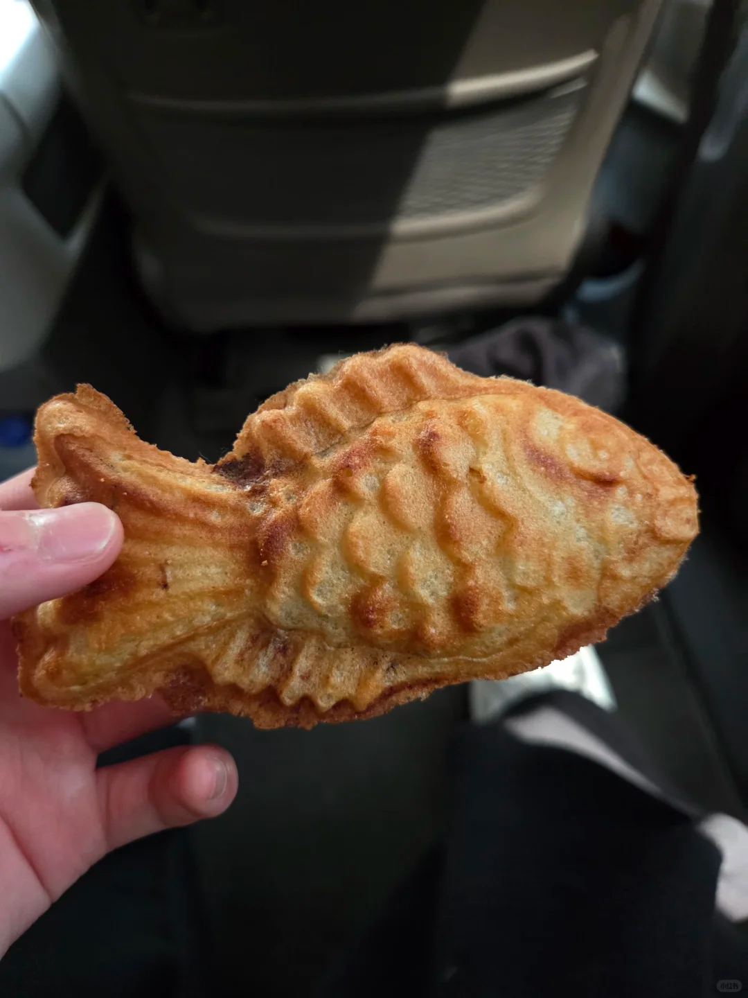 看见可爱食物还是会忍不住拍照的🐽 ​​​