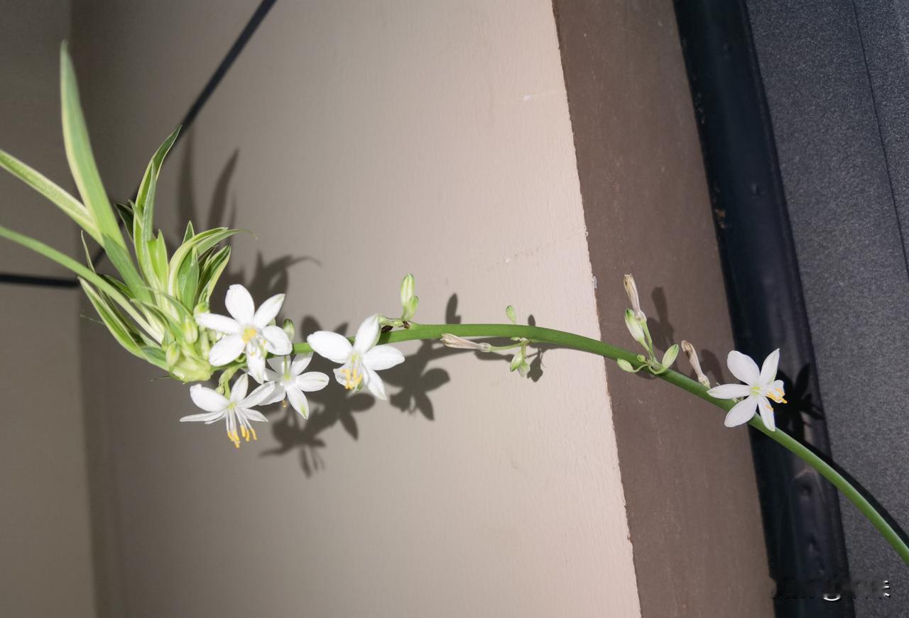 同事请病假了，
而且是请了两个月的病假。
她说上班本来赚的就少还要花钱住院，
不