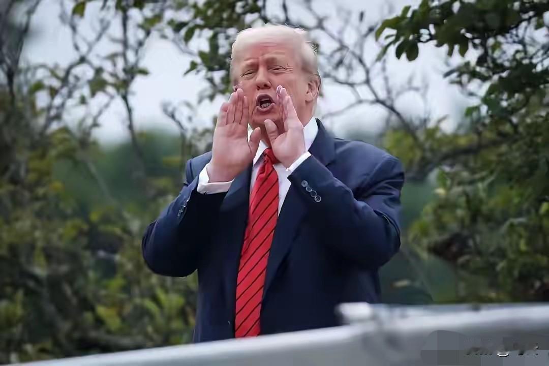 打不趴，又封不了，特朗普开始异想天开。

深夜睡不着的特朗普又发挥“推特治国”了