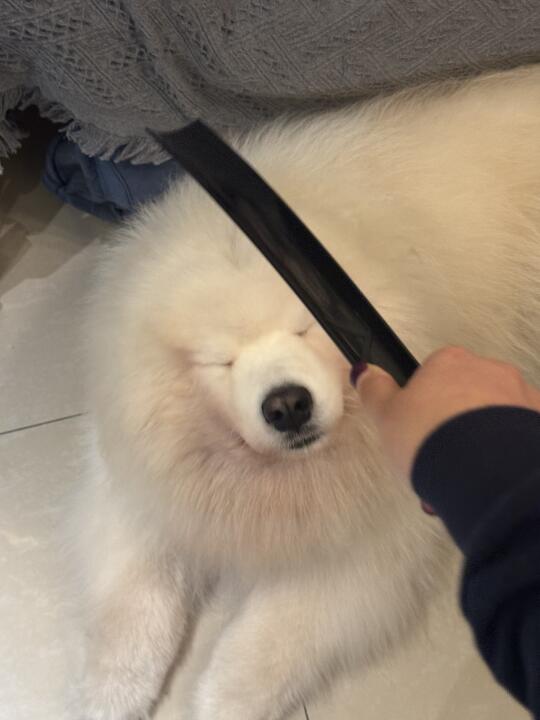 不敢睁开眼，希望是我的幻觉！