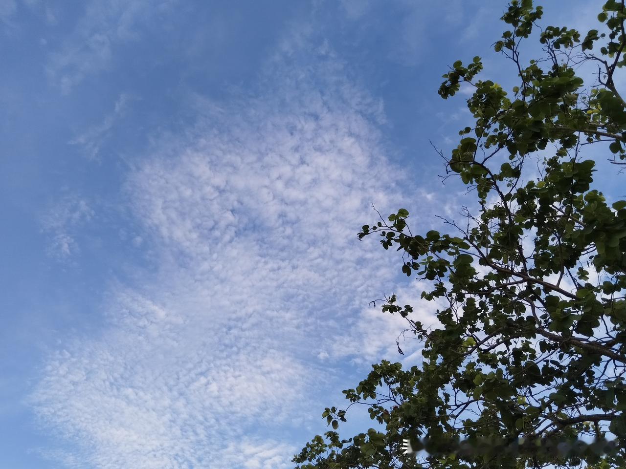 深入探讨中医养生中医养生讲究顺应自然，天地人合一，静心享受大自然的美，温暖的阳光
