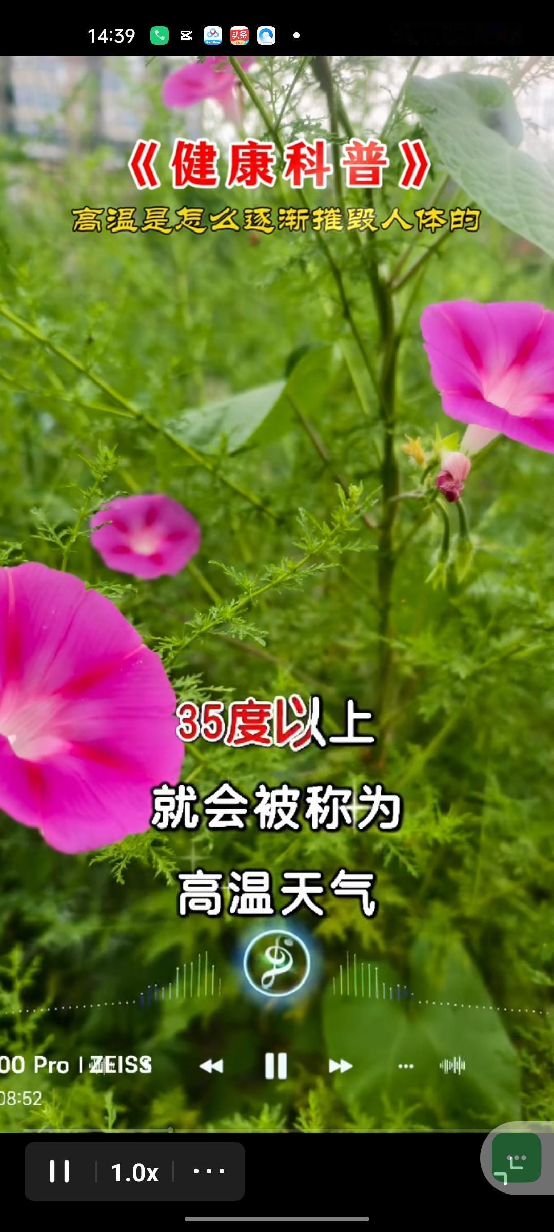 盛夏酷暑，很多人只怕刺眼的阳光和滚烫的气温，却忽略了藏在热浪里的隐形杀手。它看不