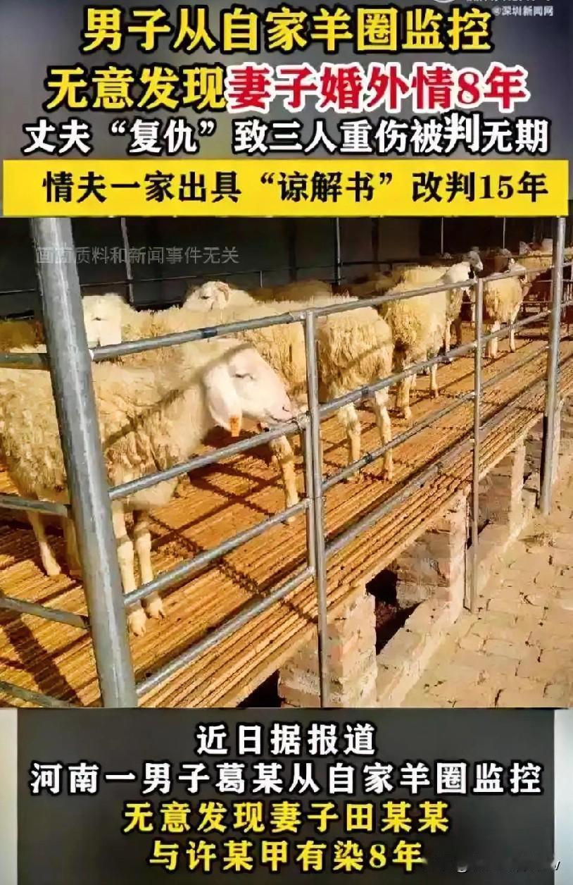 8年打工养全家，羊圈监控却拍妻子出轨8年！丈夫报复获刑15年，谁懂这种痛？
 
