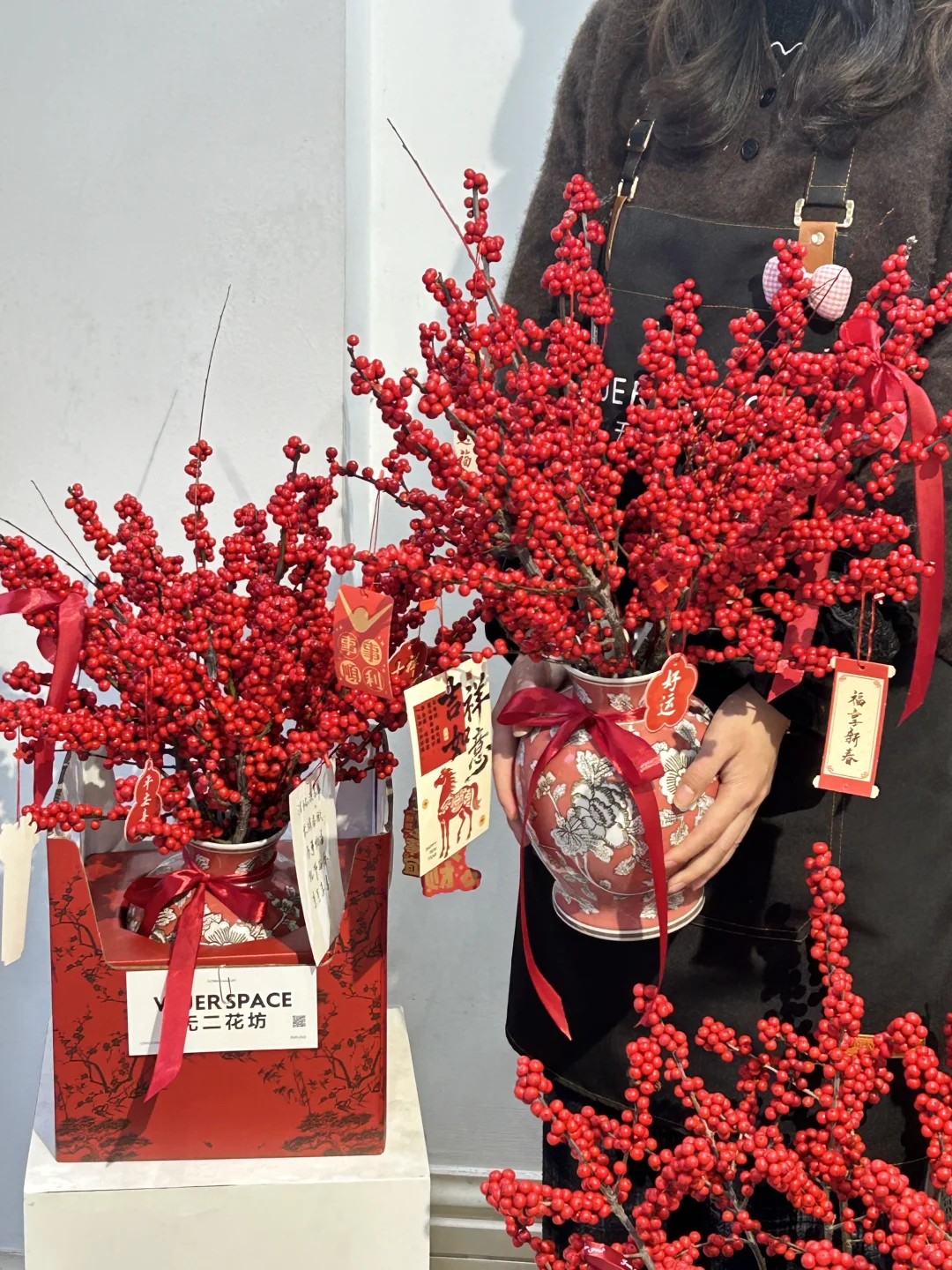 北美冬青年宵花