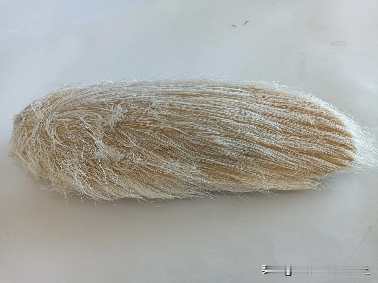 猜猜看这是啥，反正闲着也是闲着[星星眼]万物皆可盘 猜猜它像什么 自然盘 猜猜是