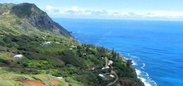 1789年，9个英国叛兵逃上太平洋孤岛，杀光土著男人、霸占所有女人，两百年后，这