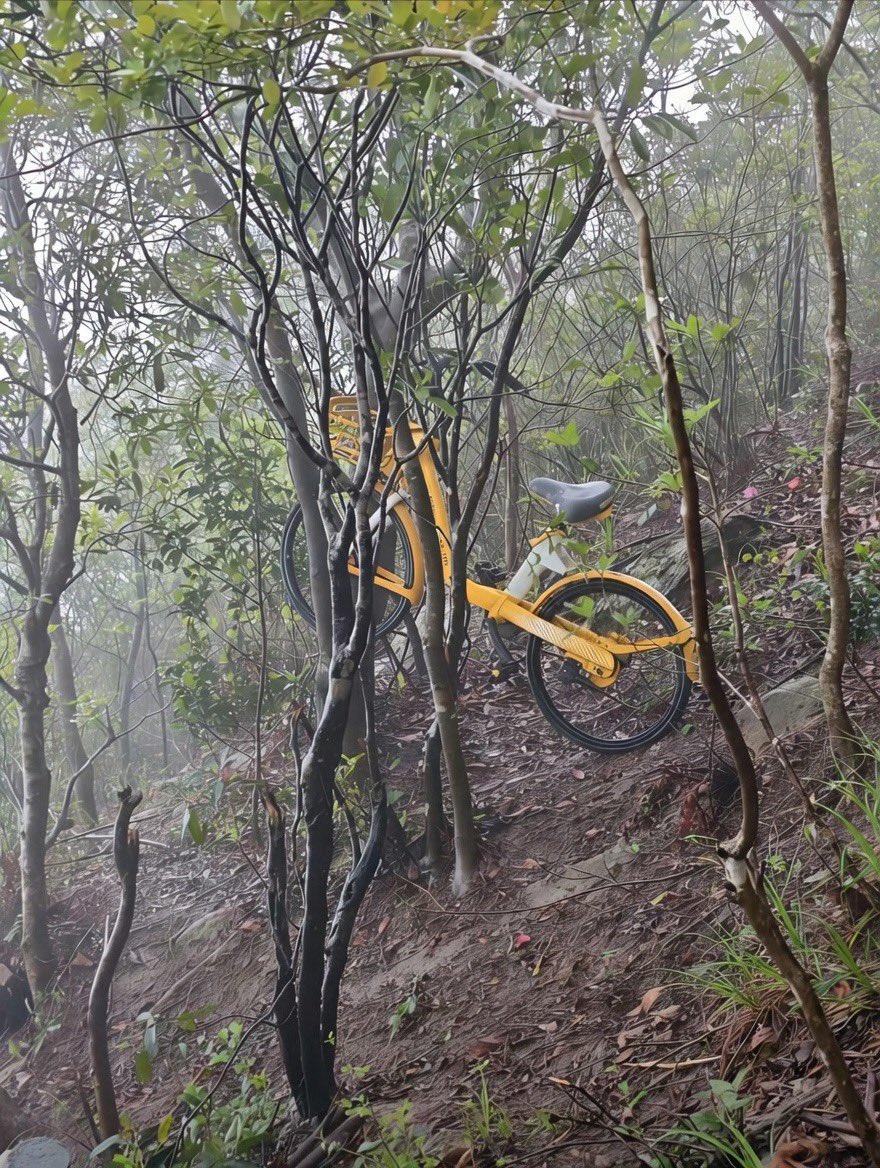 在深圳，有个共享单车运维员接到任务，说梧桐山顶定位到一辆小黄车。 他爬上去一看，