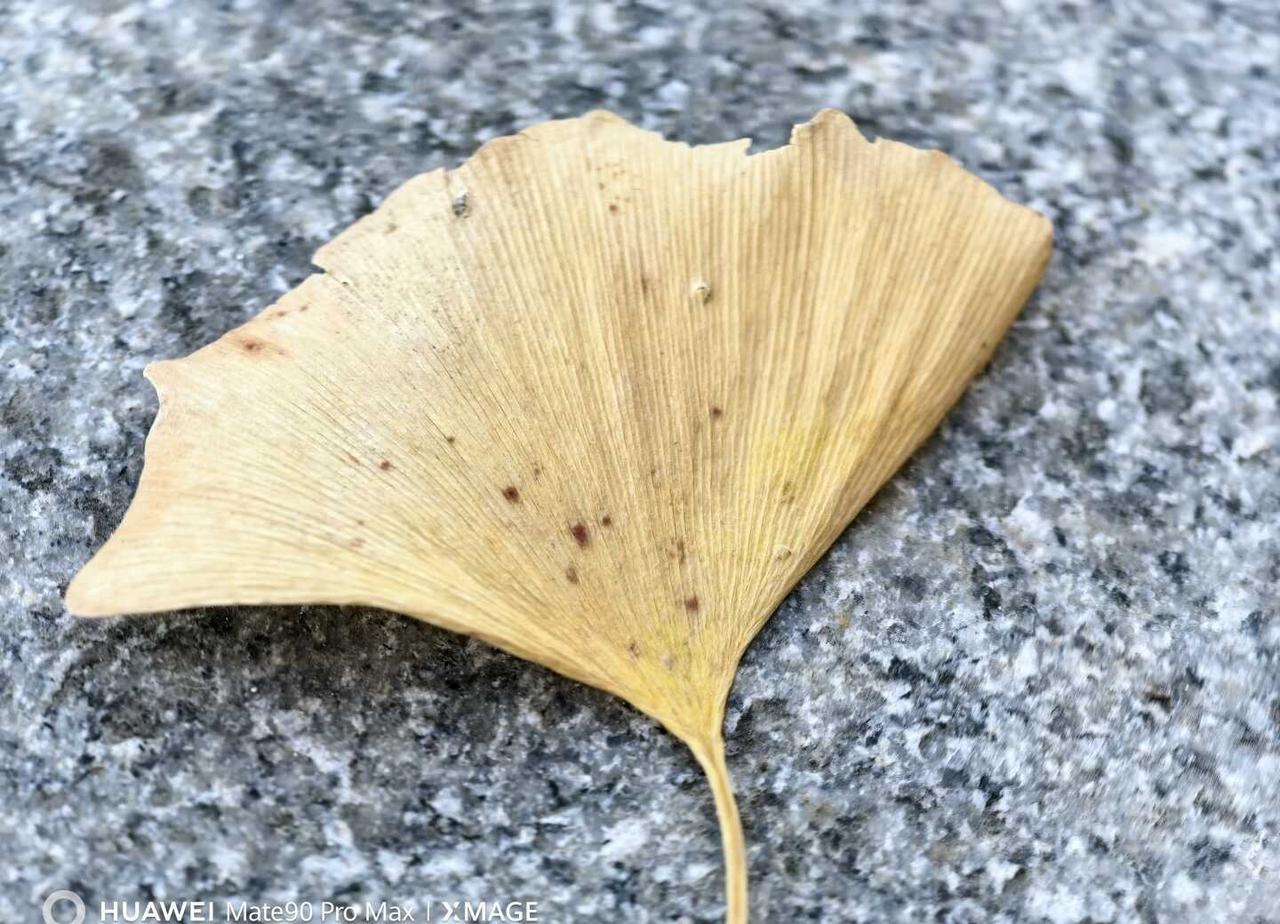 第一次买华为手机，随手拍了个微距，这个细节真的是拍的超级清楚。而且当时去店里，店