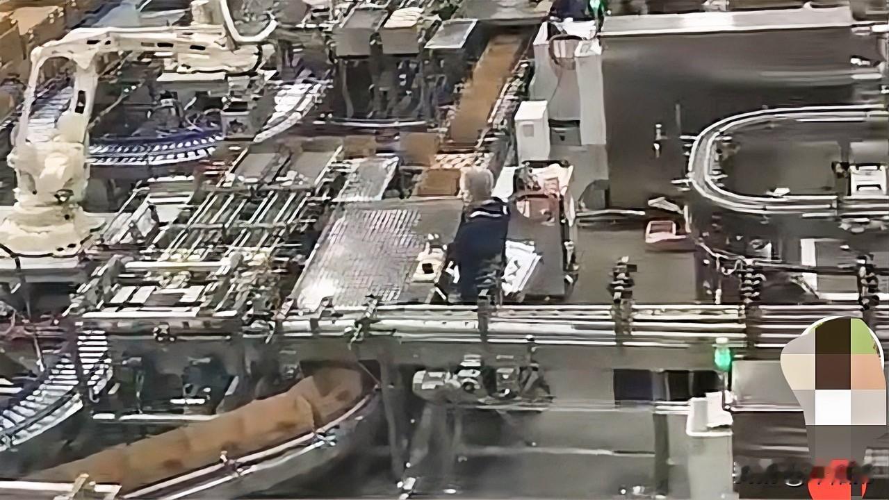 安徽有一家拥有200名员工的食品加工厂，自从装上自动化生产线后，如今工厂仅剩下6