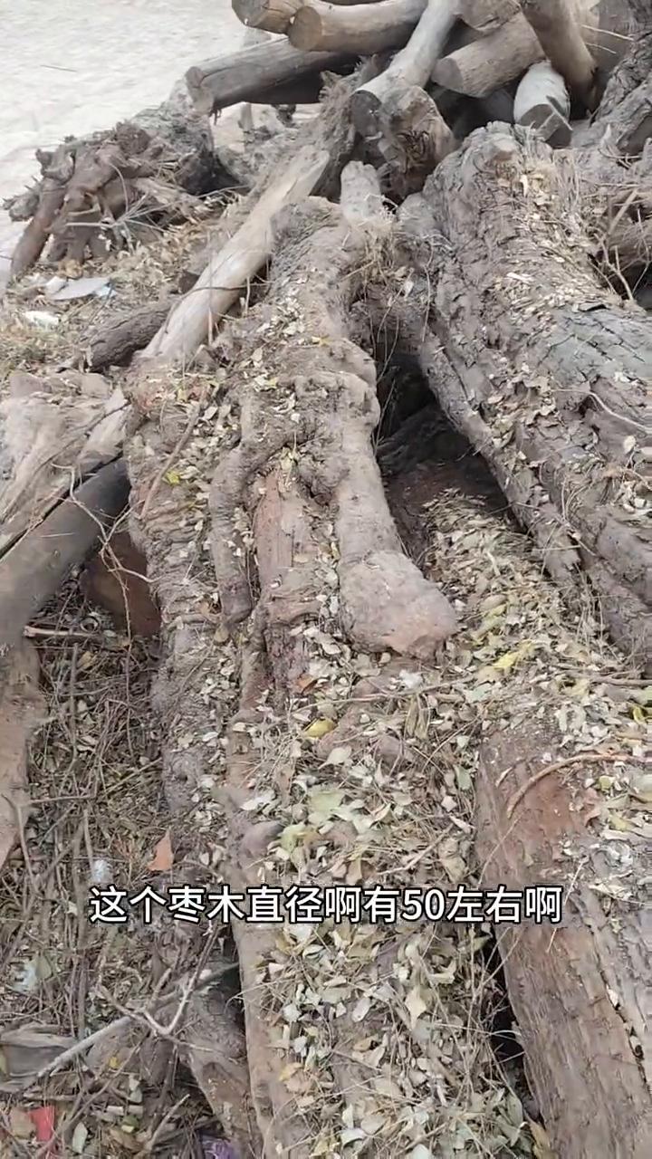 长度是够了，也够直也够粗，只是压在下面，估计要用个叉车把。上面这根枣木直径有50