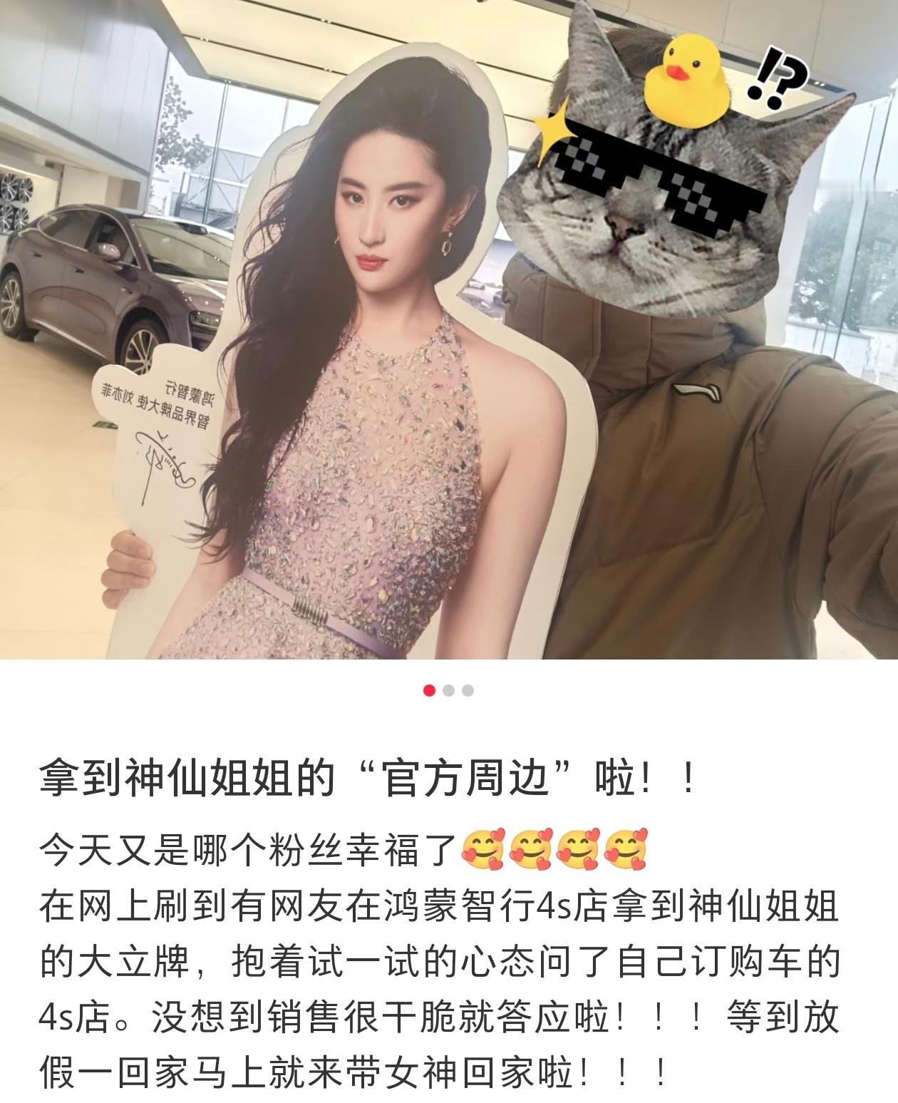 有人拿到了鸿蒙大使刘亦菲的人形立牌