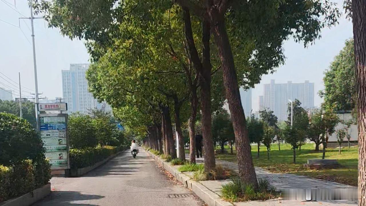 维权路上/
日日奔波，不是在维权，就是在维权的路上。尽管室外38度高温酷暑，也挡