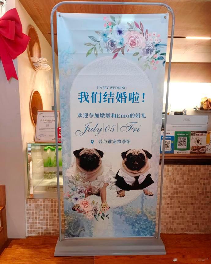 小狗结婚？？？ ​​​