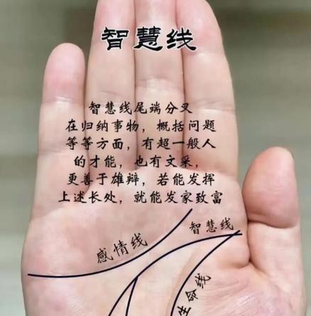 刚看了下手相，发现我是典型的“哲学手”，指节突出爱纠结，纯纯的精神内耗。生命线断