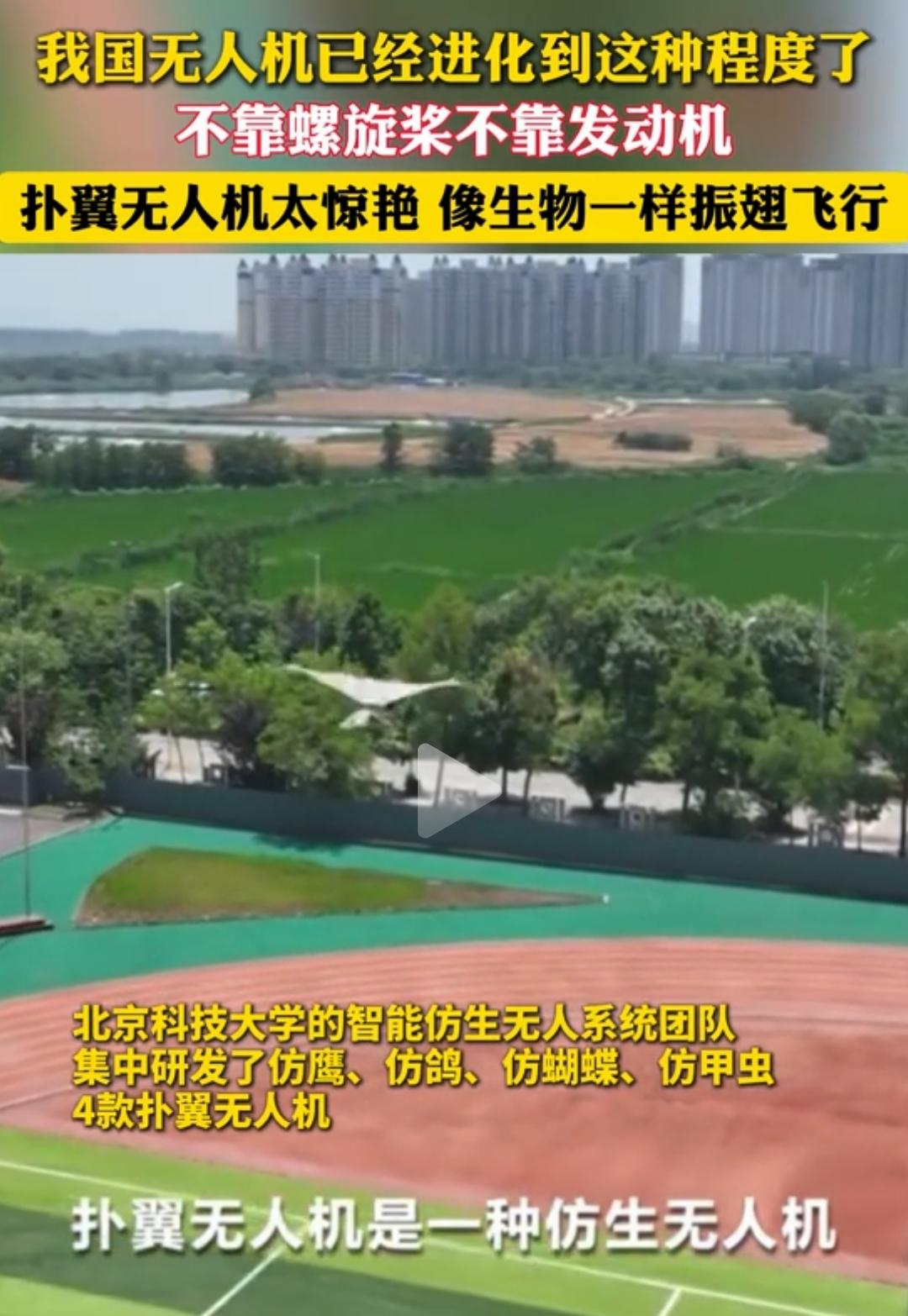 来看中国这些逆天的无人机。
和你想的可能大不一样。
有仿鹰🦅的，仿鸽🕊️的，