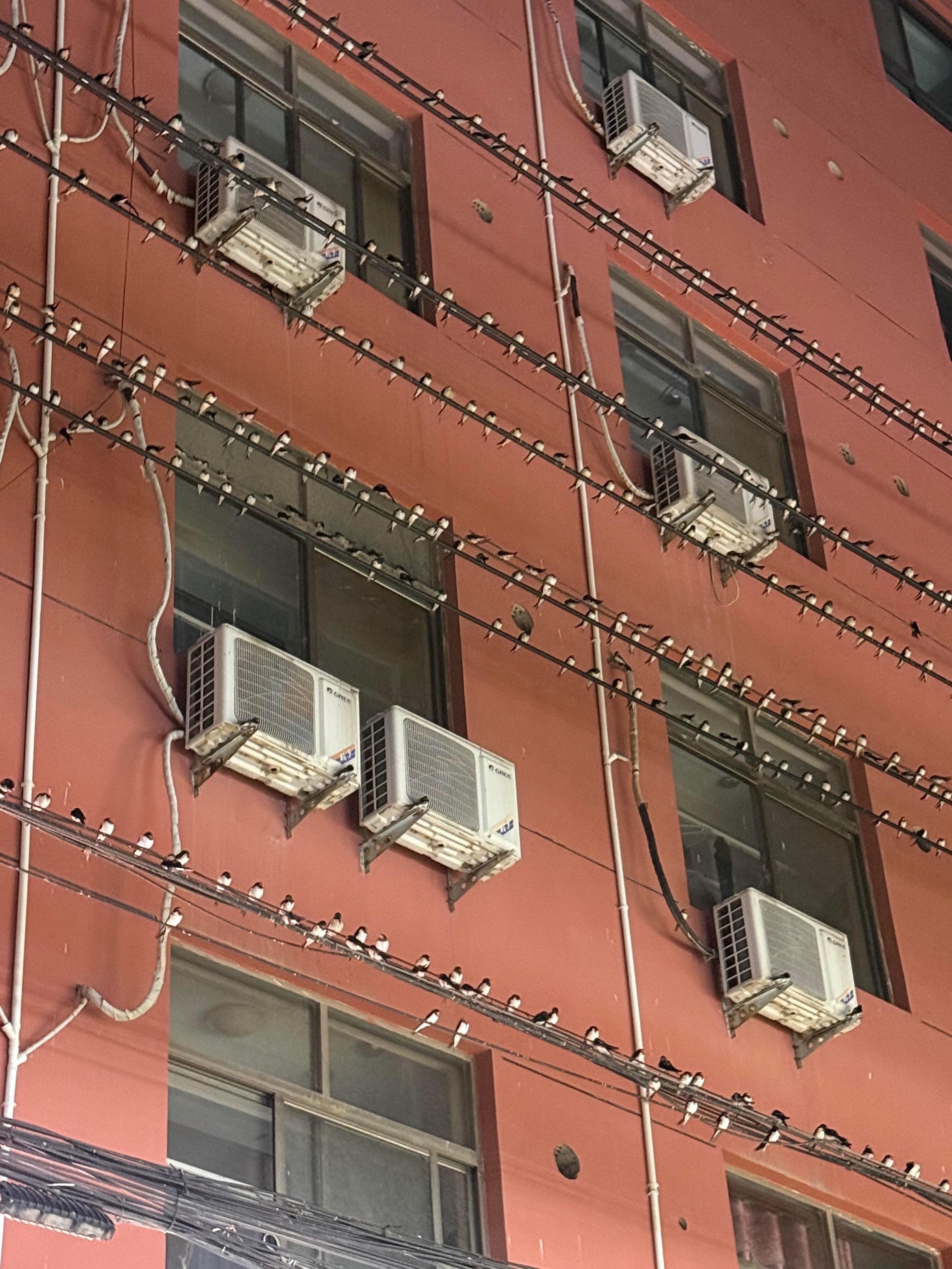 对换季有了实感[思考]我的幽默灵感片场人间值得有欢喜 ​​​