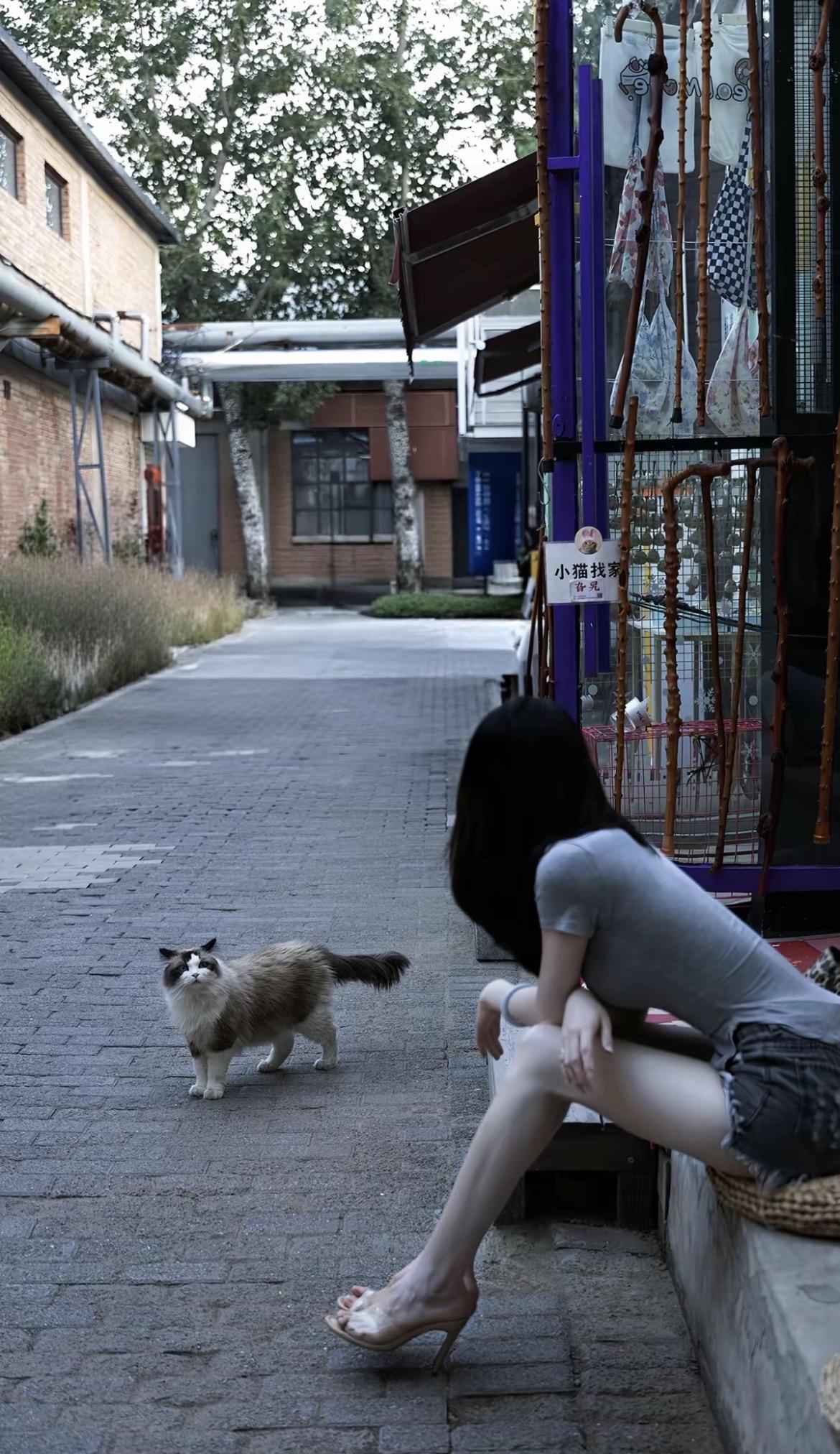 咪咪可爱吗[可爱]