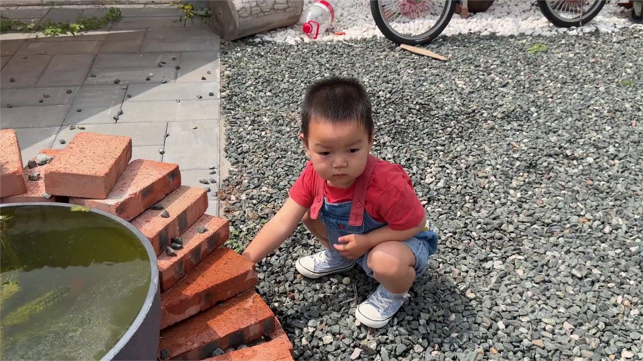 有野心 能顾家 长城猛龙PLUS带娃猛不猛？