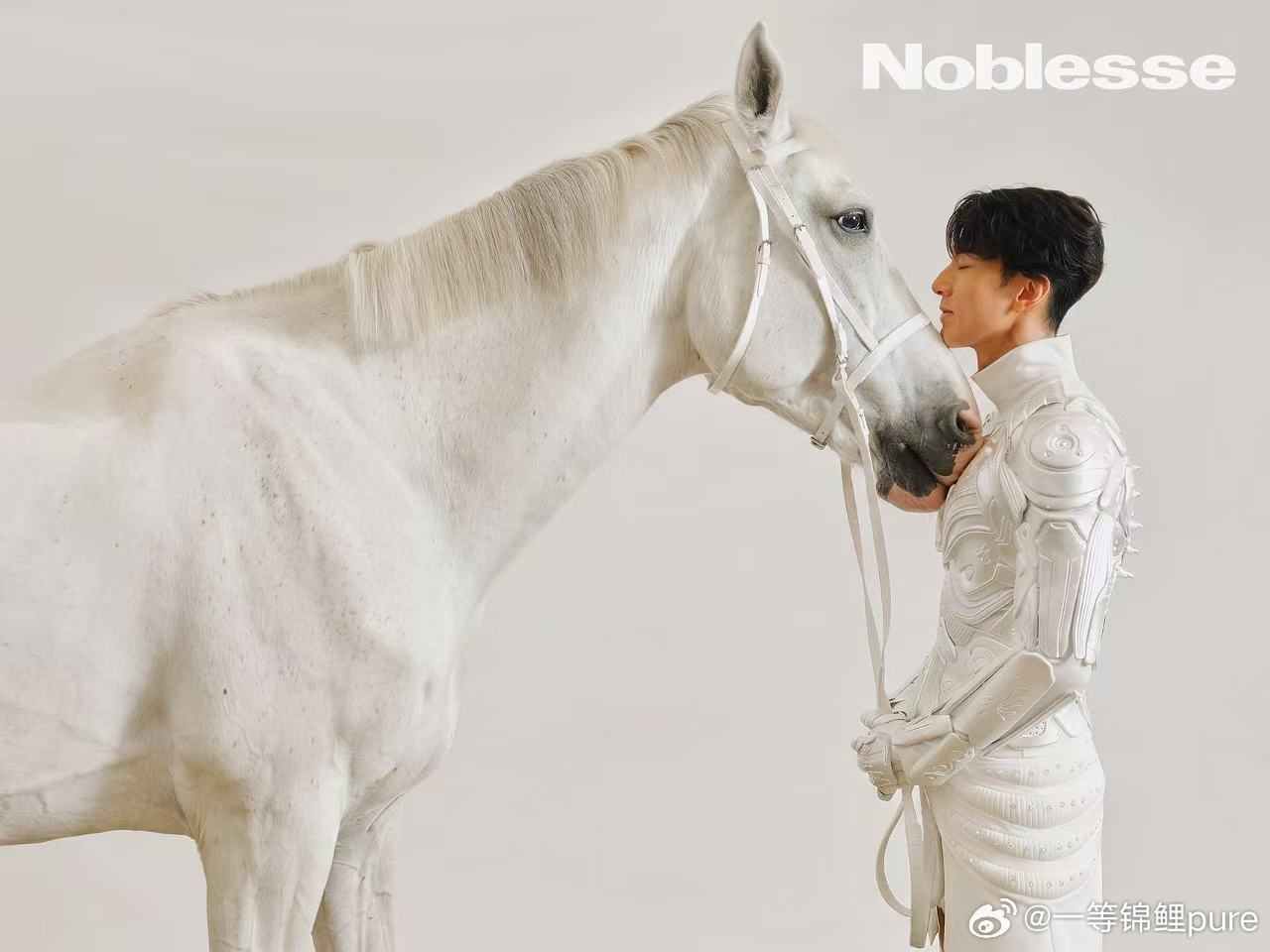 悦凯娱乐｜ 吴尊 ✖️Noblesse             驭身归心 信马由