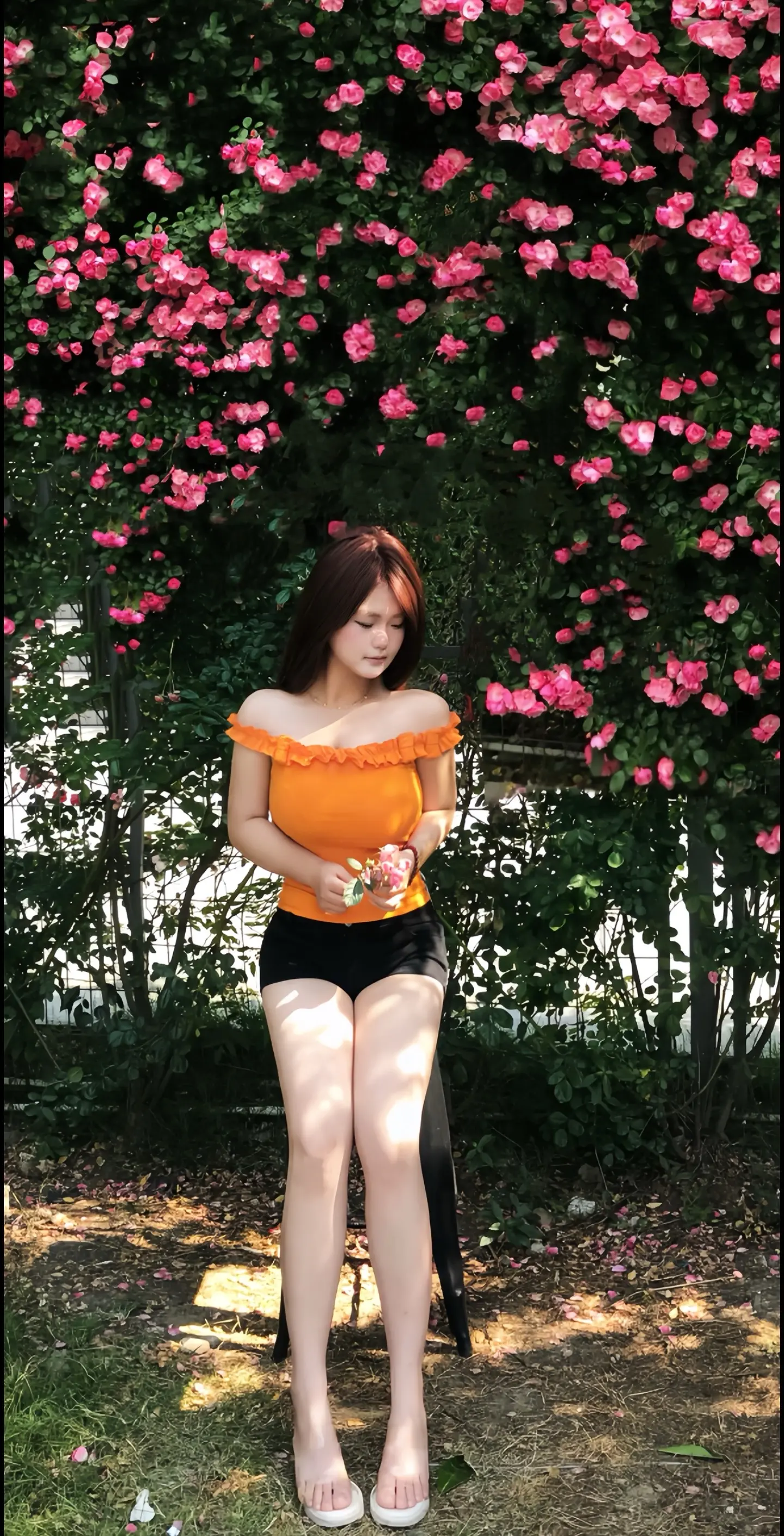 又是艳阳天