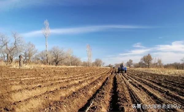 北方的春天，总是来的最晚，南边己春暖花开，北方还未退去棉衣，一眼望去，干巴巴黄黄